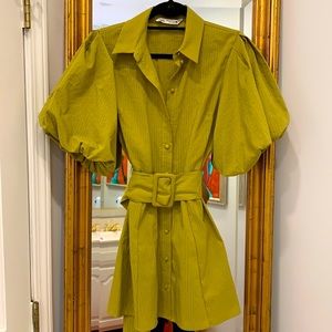 Puff Sleeve Mini Dress